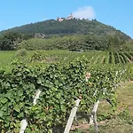 Au Calme, 2 Personnes, Proche Vignobles Et Chateaux, Animaux Acceptes, Terrasse Jardin - Fr-1-744-33 *