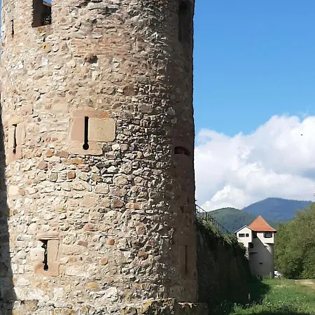 Au Calme, 2 Personnes, Proche Vignobles Et Chateaux, Animaux Acceptes, Terrasse Jardin - Fr-1-744-33 *