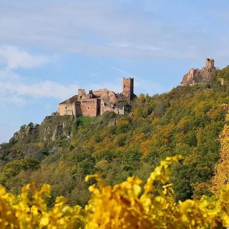 Au Calme, 2 Personnes, Proche Vignobles Et Chateaux, Animaux Acceptes, Terrasse Jardin - Fr-1-744-33 Holiday home *