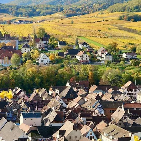 Au Calme, 2 Personnes, Proche Vignobles Et Chateaux, Animaux Acceptes, Terrasse Jardin - Fr-1-744-33 ベルクハイム