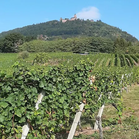 Au Calme, 2 Personnes, Proche Vignobles Et Chateaux, Animaux Acceptes, Terrasse Jardin - Fr-1-744-33 *